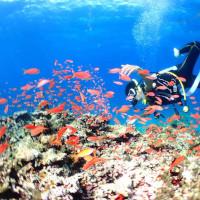 yammerjp avater icon